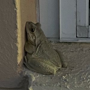 Meet your Posher, Joel